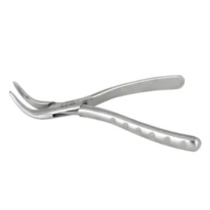 Animal Dental Forceps