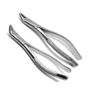 Dental Extraction Forceps