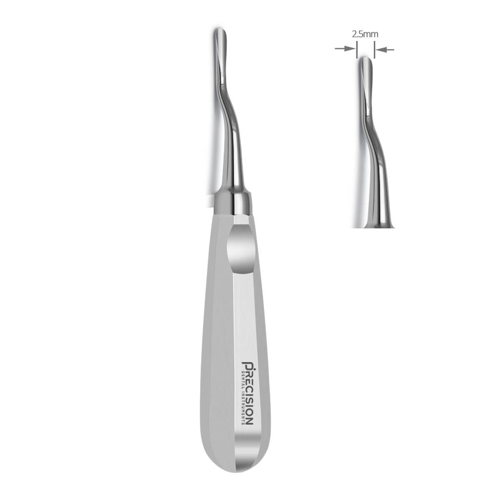 Root Elevator Straight