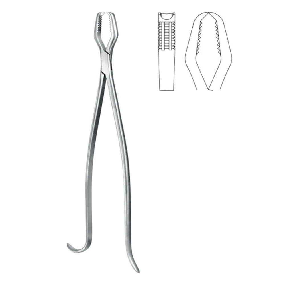 Lane Bone Holding Forceps